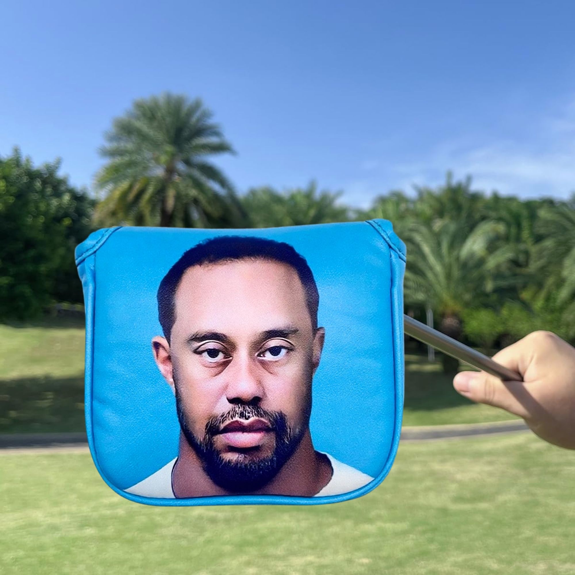 Funny Golf Mallet Putter Head  - Women'S Golf Accessories recension och pris